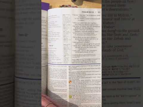 Bible flick through #papersounds #crinklesounds