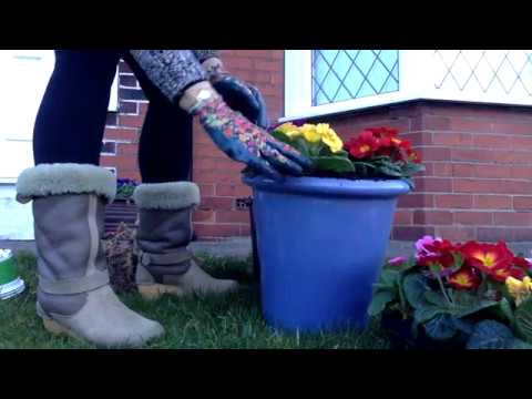 ASMR Mummy Planting Flowers Wearing Rubber Gardening Gloves