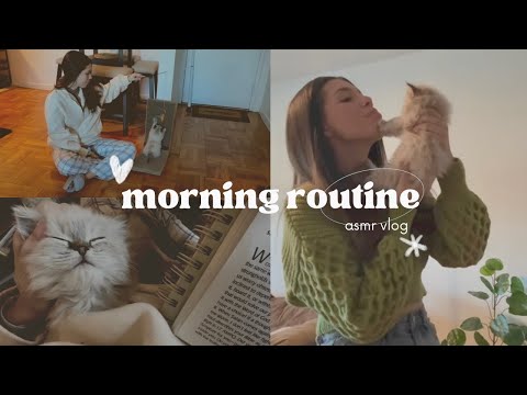 ASMR - Updated Morning Routine With a Kitten 😻 *Close Up Whispered Voiceover*