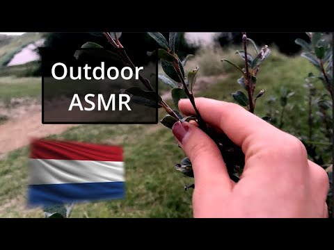 Outdoor ASMR in the netherlands (tapping, crinkling, wind blowing…) ✨🌤️