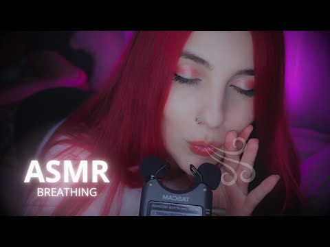 ASMR  Breathing & Ear Blowing (no talking)😴🌬️