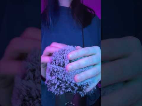 ASMR Searching For Bugs on the Fluffy Mic #asmr #mictriggers #tingles #asmrtriggers #relaxing