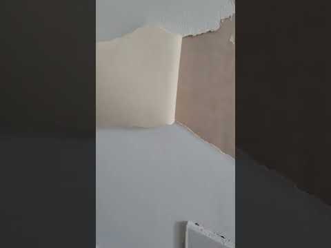 this happened to my walls