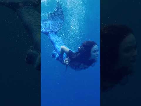 Undersea ASMR Searching for treasures