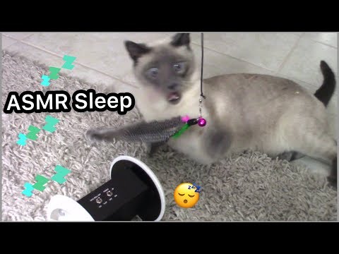 ASMR Sleep  💤 Cat playing,feather & bells Sounds for sleep 😴 3dio Sound Binary Ear to Ear