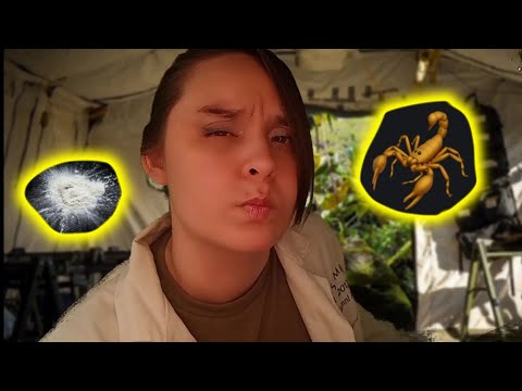 ASMR Realistic medical exam for scorpion sting - or PCP? 🦂 Real doctor adventure.