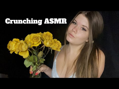 Crunching ASMR