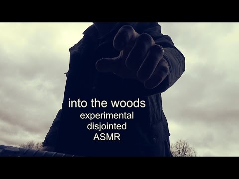 into the woods - experimental disjointed ASMR