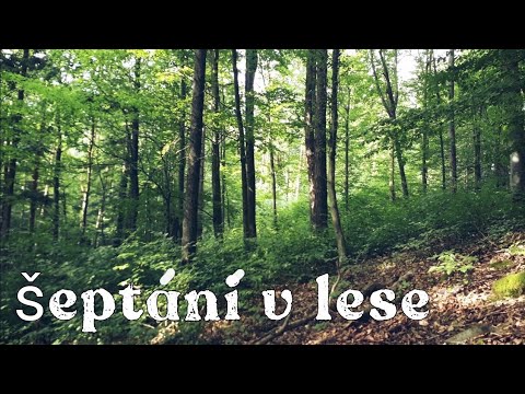 ASMR/CZ/ Šeptání v lese