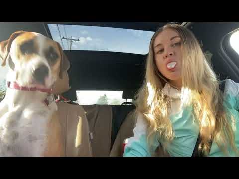 ASMR blowing bubble while driving g with my rescue dog 🐶