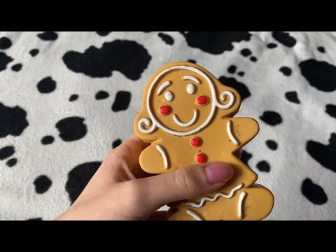 ASMR tapping and scratching on dog toys