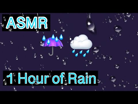ASMR | 1 Hour of Rain ☔️🌧