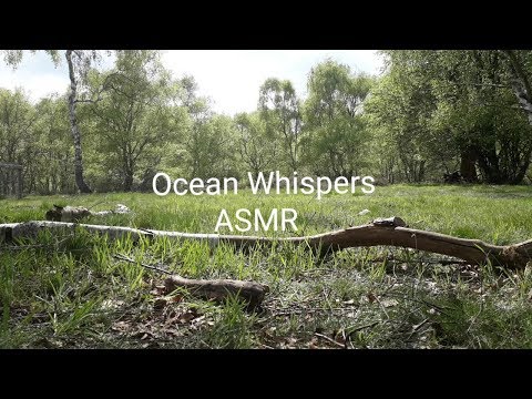 ASMR relaxing woodland walk (wood tapping, scratching and birdsong...)