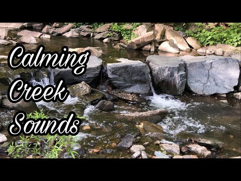 10 Minutes of Creek Sounds | Nature ASMR