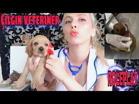Soft Spoken / Asmr Türkçe / Veterinary 🐕 Veteriner ROLEPLAY