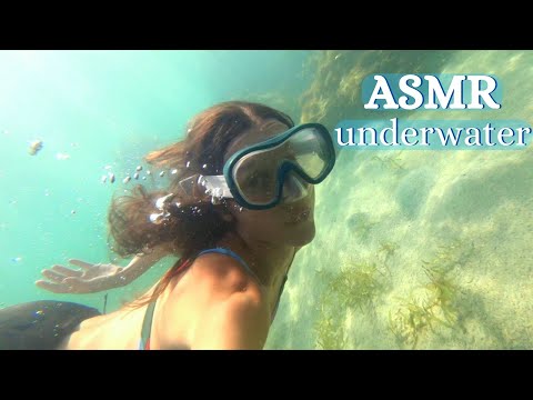 🌊 ASMR FR 🐠 On nage ensemble avec les poissons sur l'île de la Martinique