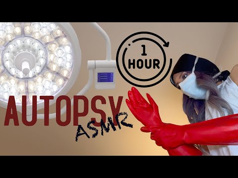 ASMR | Your Autopsy, Glove Sound, Real Atmospheric Background Noise, 1 Hour