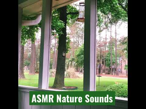 ASMR | Nature Sounds At Grandmas (Birds Chirping)