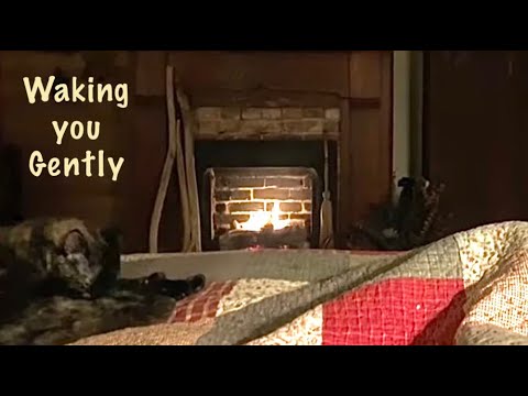 ASMR Request/Waking you gently (Whispered only)