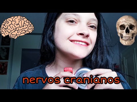 asmr: exame dos nervos cranianos