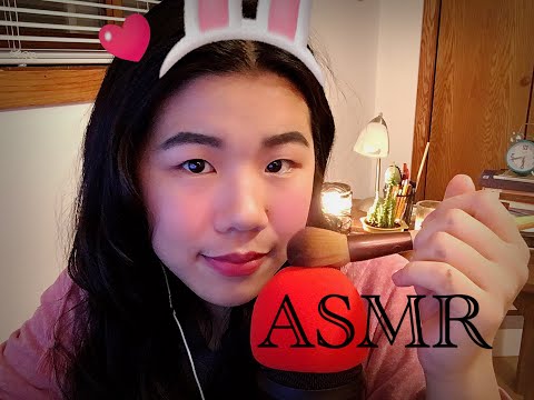 ASMR☽ // Makes You Fall Asleep💤 (Tapping, Whispering, Mic scratching...and more)