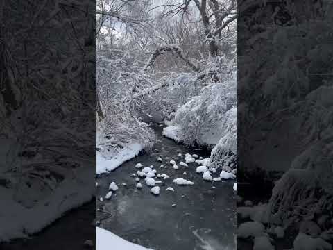 The Soothing ASMR Sounds in Nature After a 20cm Snow Fall