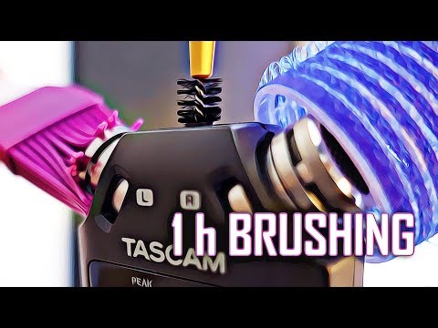 1H New Awesome Tascam Mic Brushing! No Talking!