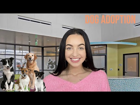 [ASMR] Pet Adoption - Application & Matchmaking RP