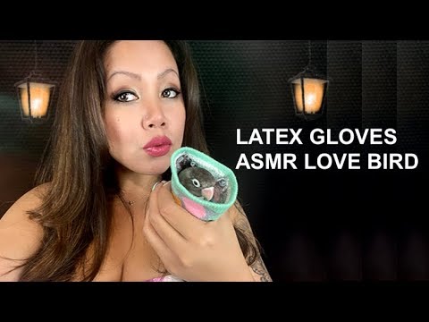 ASMR Latex Gloves - with My Rescued Love Bird #withme #StayHome