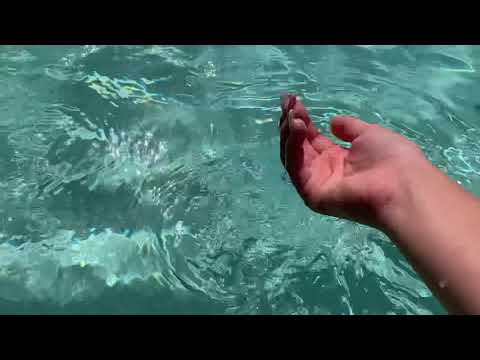 Asmr sounds- satisfying pool/water