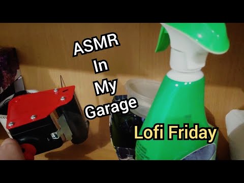 ASMR (if you watch u turn into a frog) Too Weird For You and Your Dog (lofifriday)