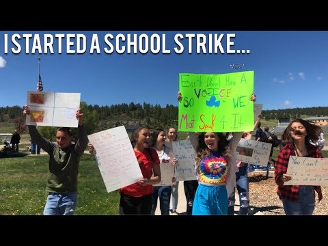 I Started a SCHOOL STRIKE for CLIMATE CHANGE
