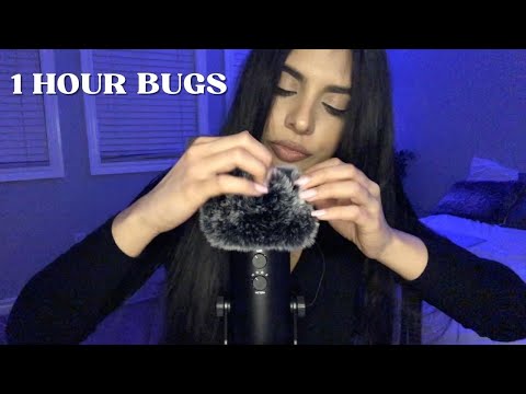 1 Hour Bugs ASMR 🐜 🐛🕷