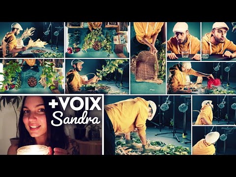 ASMR 🍃La Balade en Nature 🍃BRUITAGES + VOIX de Sandra Relaxation ASMR