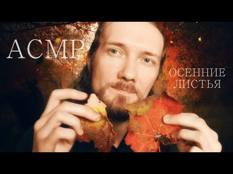 АСМР 🍁 Осенние листья 🍁 Шуршание и шепот🍁
