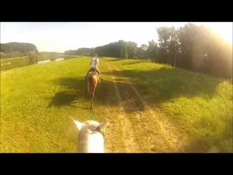 GoPro - Day with horses
