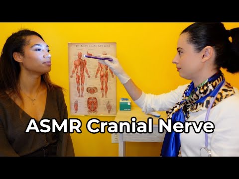 ASMR [Real Person] Cranial Nerve Exam with Olivia (Soft Spoken Medical Roleplay)