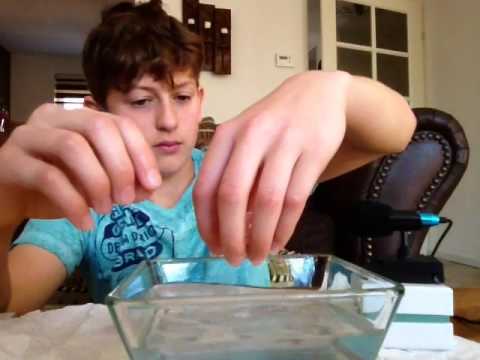 Asmr playing with water orbeez!