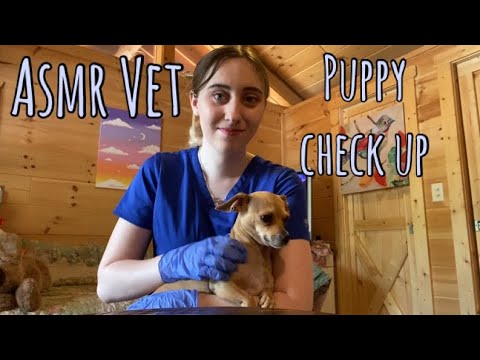 ASMR Doctor | Check Up on Real Dog