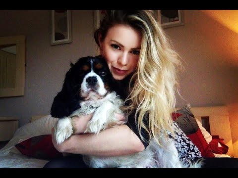 ASMR | 3D Binaural Doggy Grooming | Soft Spoken, Gentle Sounds, Tingles Galore