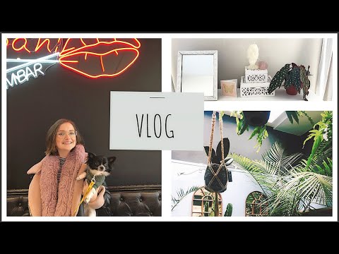 Weekend Vlog, House Transformation From Thrift Store, Inner Thoughts and Dim Sum
