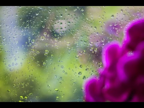 Binaural ASMR ♥ 30+ Min of Rain against Glass Window | Relaxing Sounds