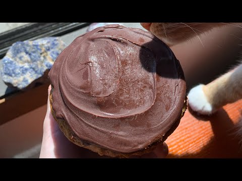 Repeating “Tap” as I Tap on a Muffin ASMR { #ASMR #Shorts #Shorts }