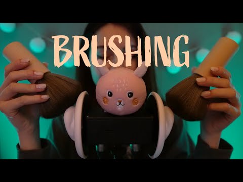 ASMR | Brushing pour vos oreilles 😴 (no talking)