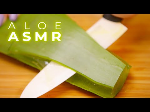 ASMR Best Aloe Sounds for Sleep, Tingles and Relaxation (No Talking)
