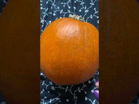 ASMR pumpkin tapping 🎃