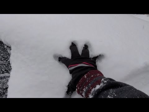 ASMR | Fresh Snow and Wind Sounds | No Talking