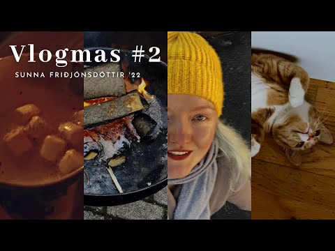 Vlogmas #2 | Cozy home life, kitty cuddles, renovations, Xmas market ❄️ (autistic reality)