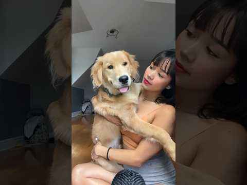 ASMR With My Dog🐶🥰(Sia&Sio) #asmr #dog