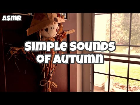 Simple Sounds of Autumn ASMR (Wind Blowing, Birds Chirping, Crickets, Train, Wind Chimes)
